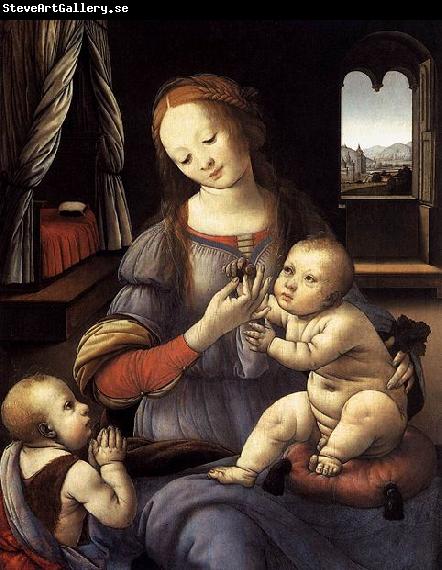 LORENZO DI CREDI Madonna with the Christ Child and St John the Baptist